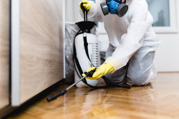 Best Termite Control Services  in Livonia, LA