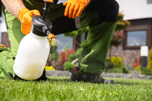Best Pest Control for Restaurants  in Livonia, LA