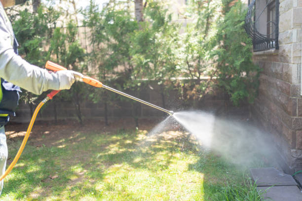 Best Bird Control  in Livonia, LA
