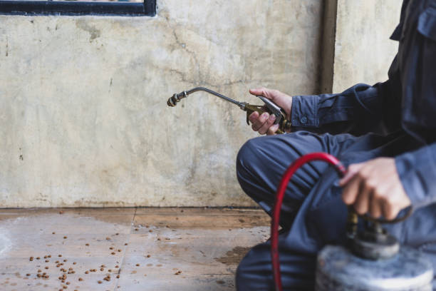 Best Mosquito Control Services  in Livonia, LA
