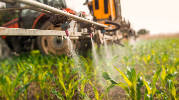 Best Wildlife Control Services  in Livonia, LA